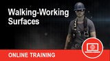 Walking Working Surfaces (Online)